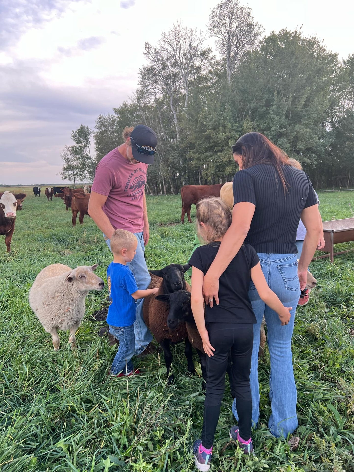 Pasture Raised Lamb - DEPOSIT