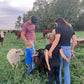 Pasture Raised Lamb - DEPOSIT