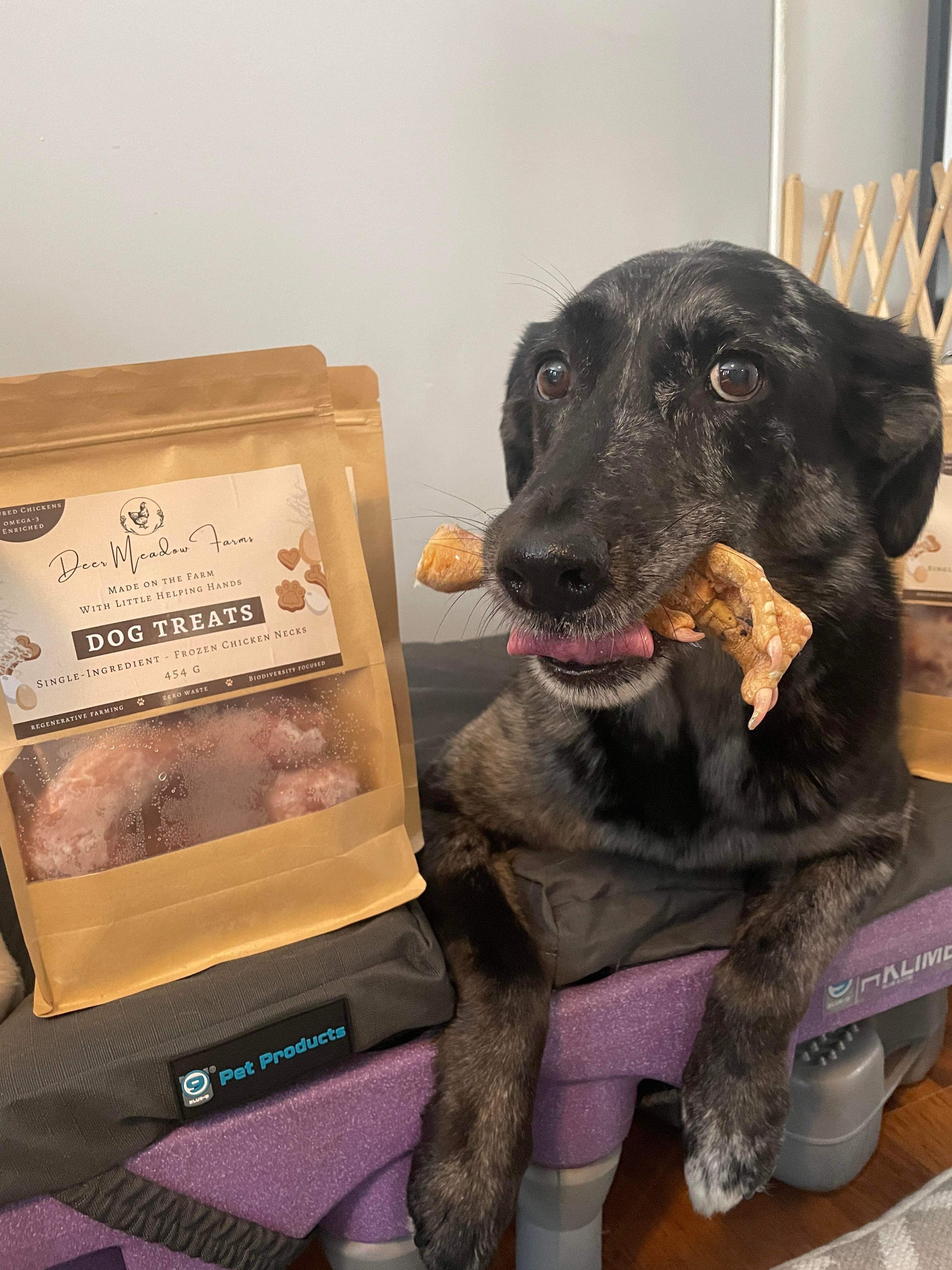 Pet Treats FREE SHIPPING ACROSS CANADA