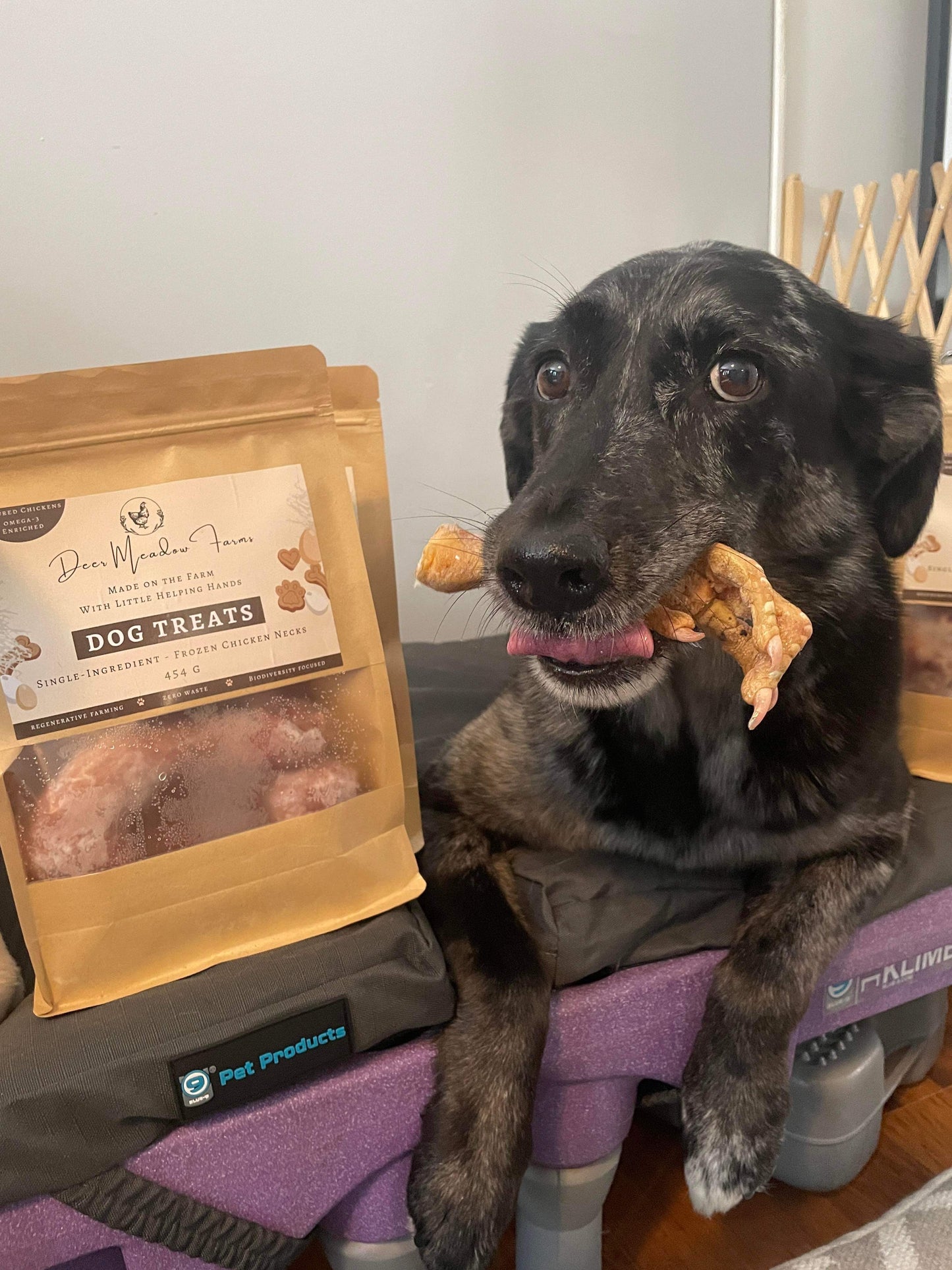 Pet Treats - FREE SHIPPING ACROSS CANADA